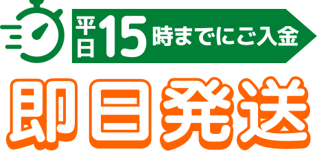 カークランド ロゲイン ミノキシジル ならロクモク-rokumoku-の旧バイベル